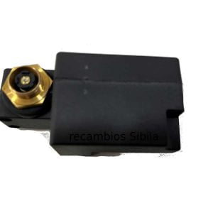 Microinterruptor caldera Cointra 8431