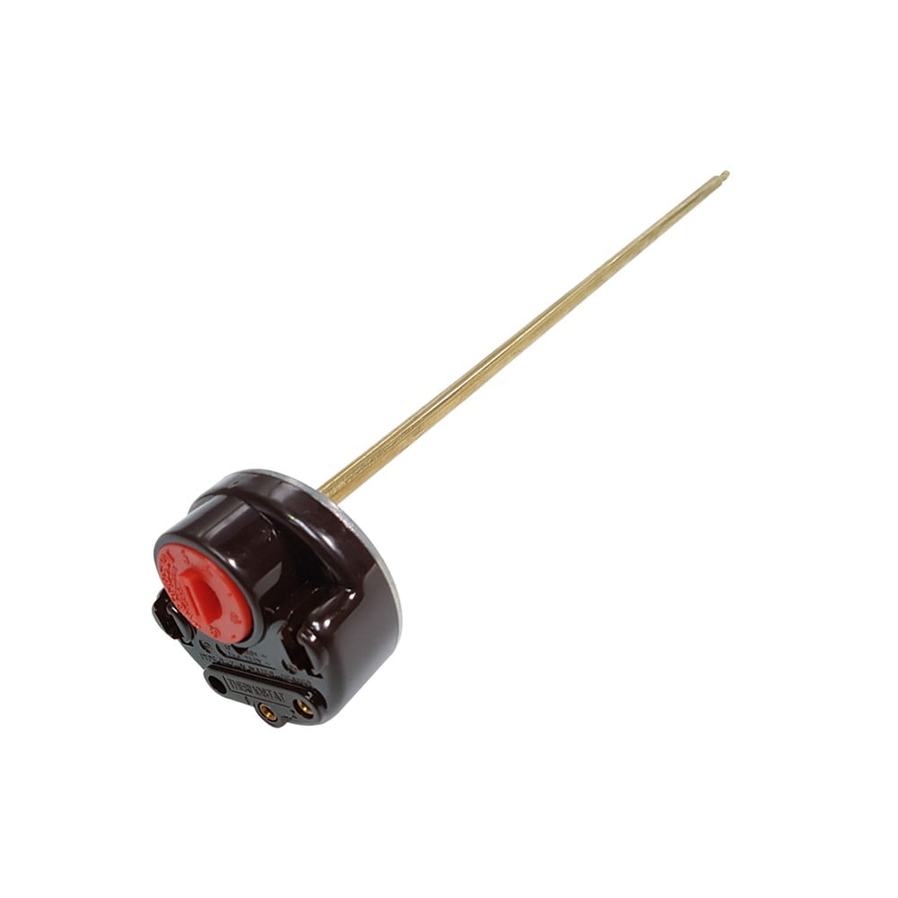 Termostato varilla termo 6x275 mm